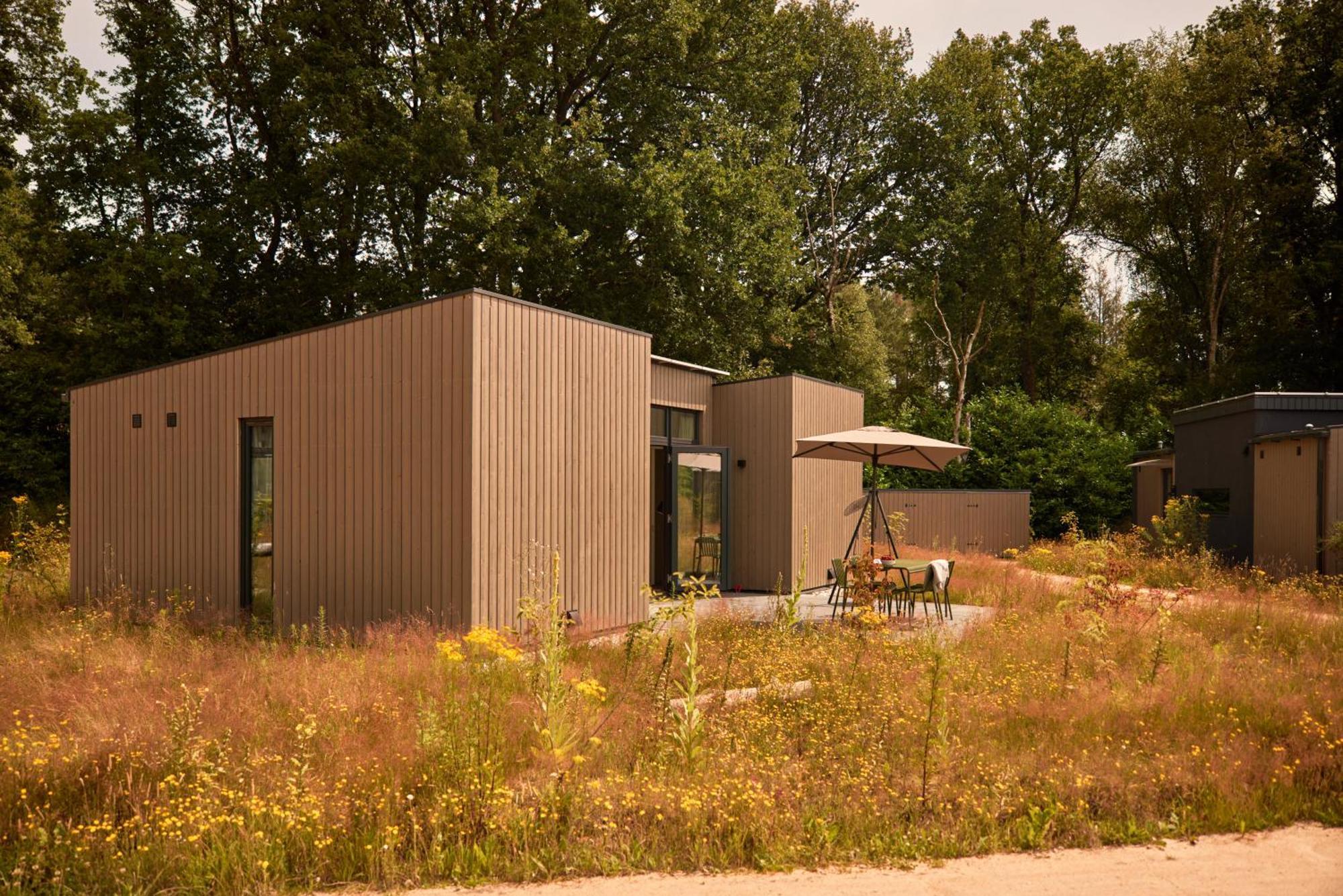 Dutchen Zeegser Duinen Suitelodges Ngoại thất bức ảnh