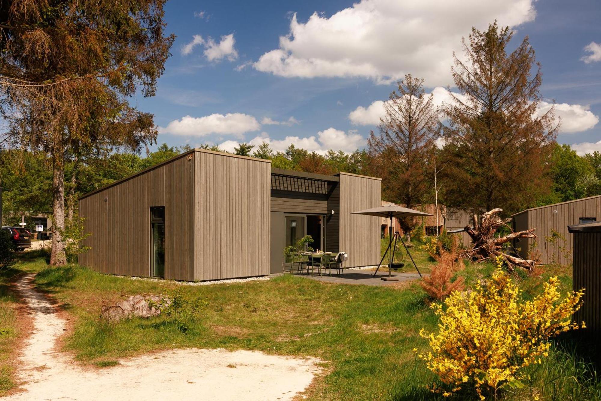 Dutchen Zeegser Duinen Suitelodges Ngoại thất bức ảnh